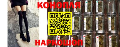 Альфа ПВП Дубна