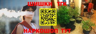 Альфа ПВП Дубна