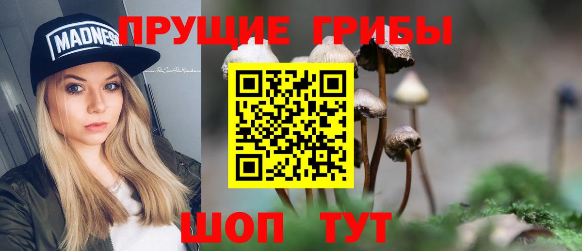 Псилоцибиновые грибы ЛСД Кулебаки